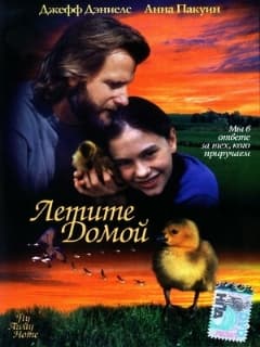Постер Летите домой