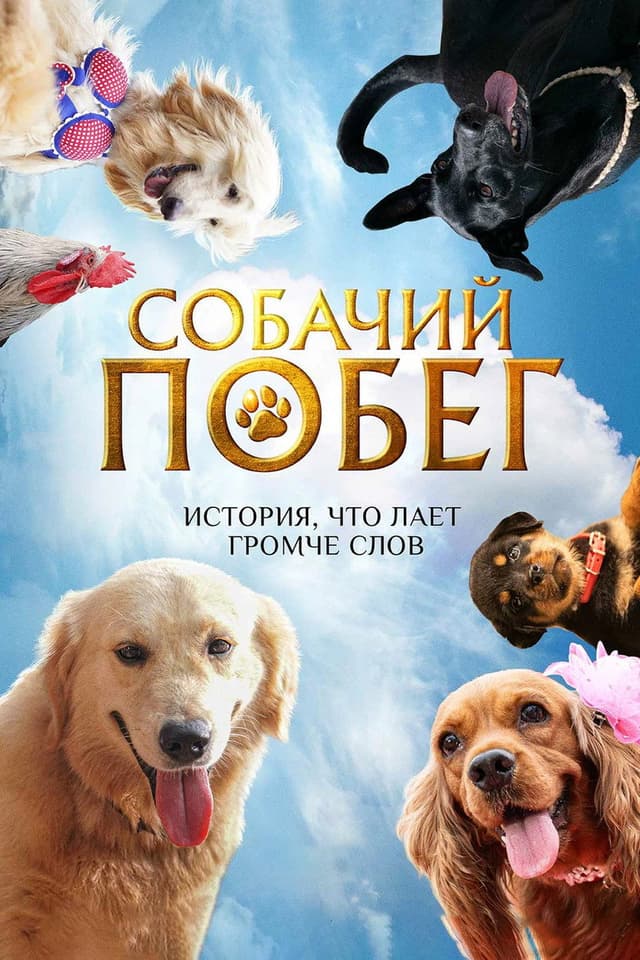 Постер Собачий побег