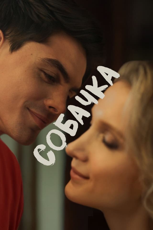 Постер Собачка