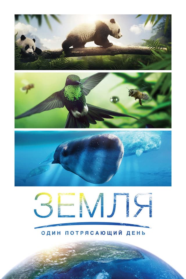Постер Земля: Один потрясающий день
