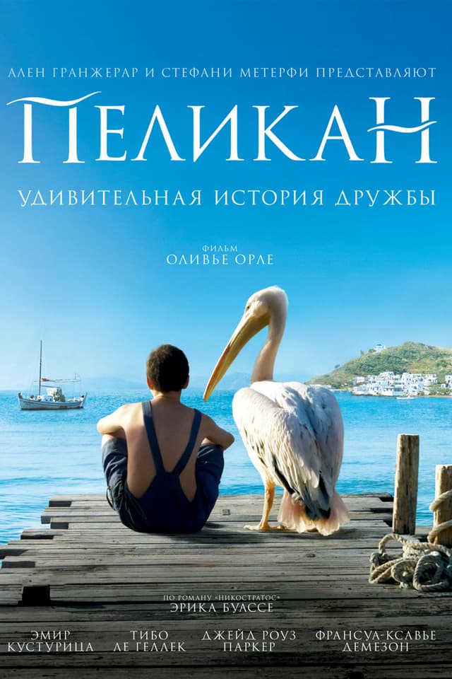 Постер Пеликан